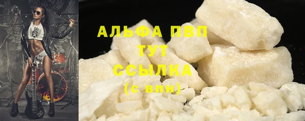 сатива Гусь-Хрустальный