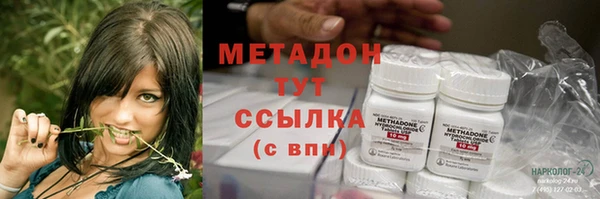 сатива Гусь-Хрустальный