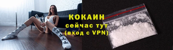 mdpv Гусев