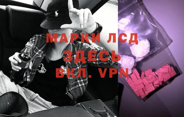 сатива Гусь-Хрустальный